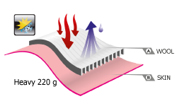 220g 220g